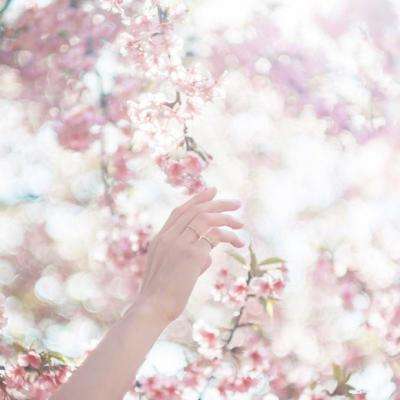 打鱼下载下载手机版